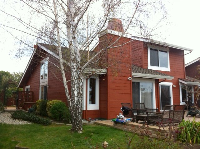 Freshly painted home with modern color scheme